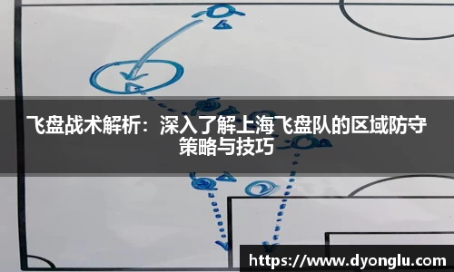 飞盘战术解析：深入了解上海飞盘队的区域防守策略与技巧